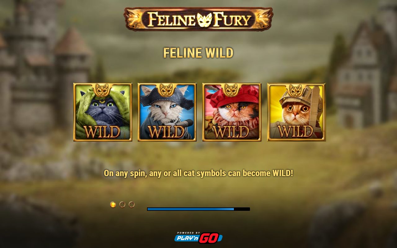 Feline Fury game lobby / feature intro