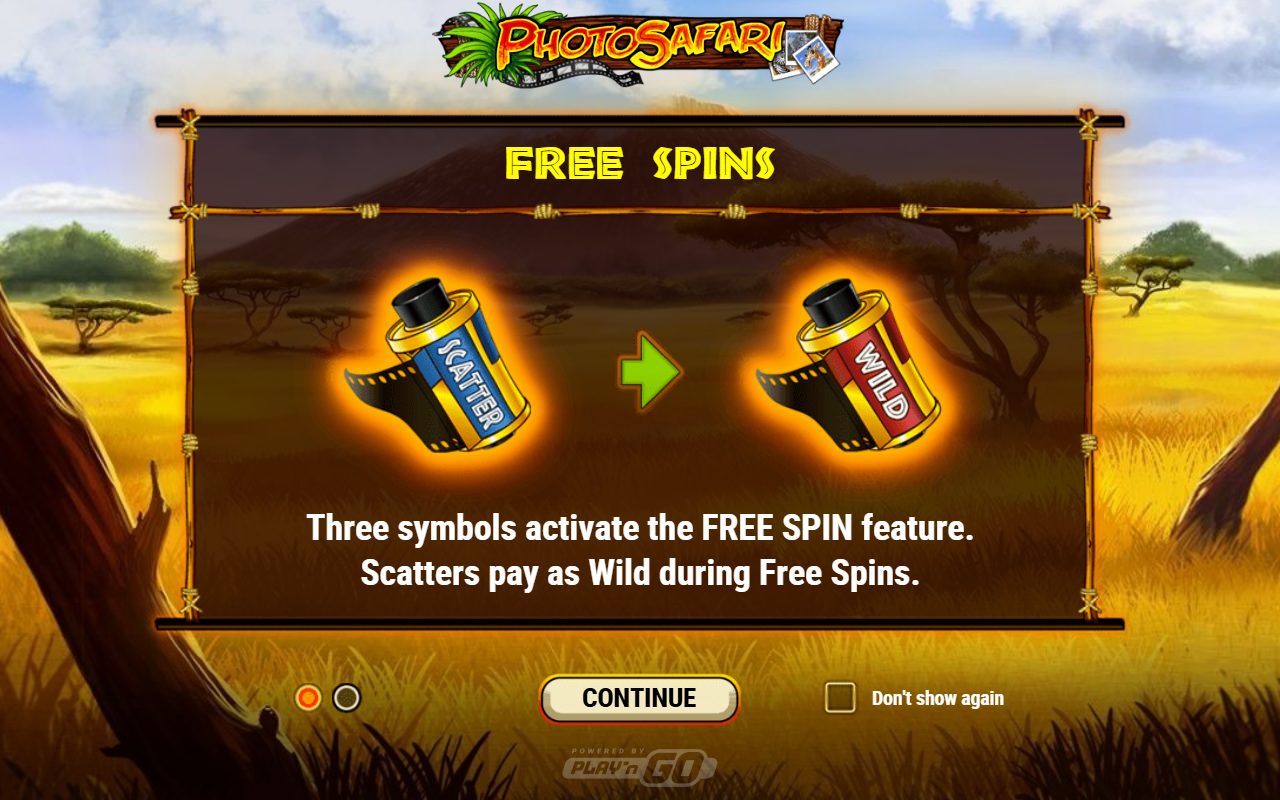 Photo Safari game lobby / feature intro