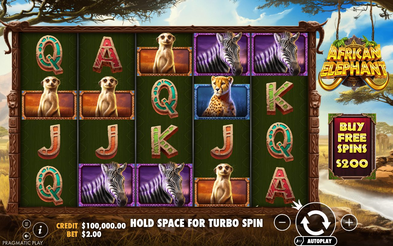 African Elephant game lobby / feature intro