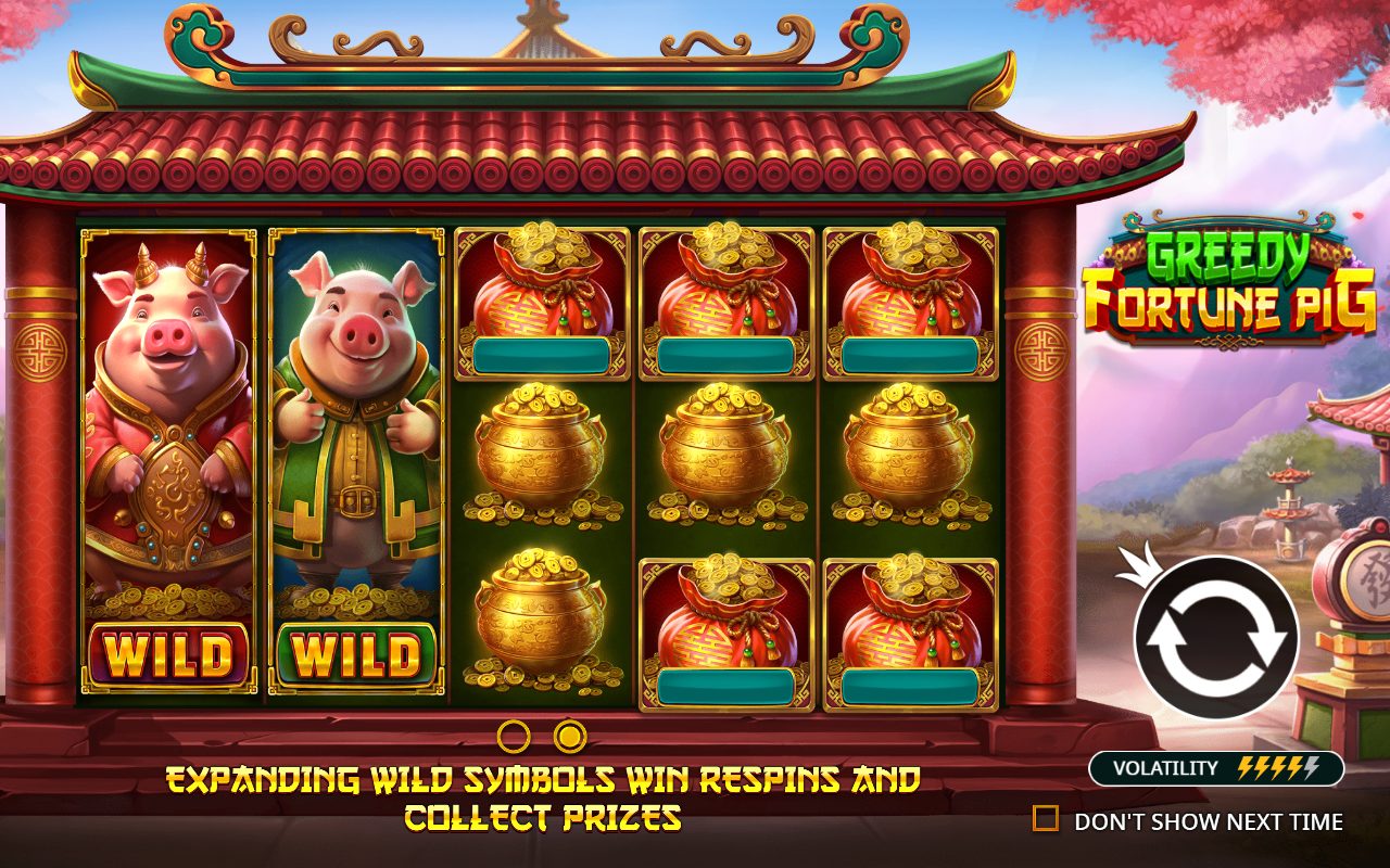 Greedy Fortune Pig base game reels