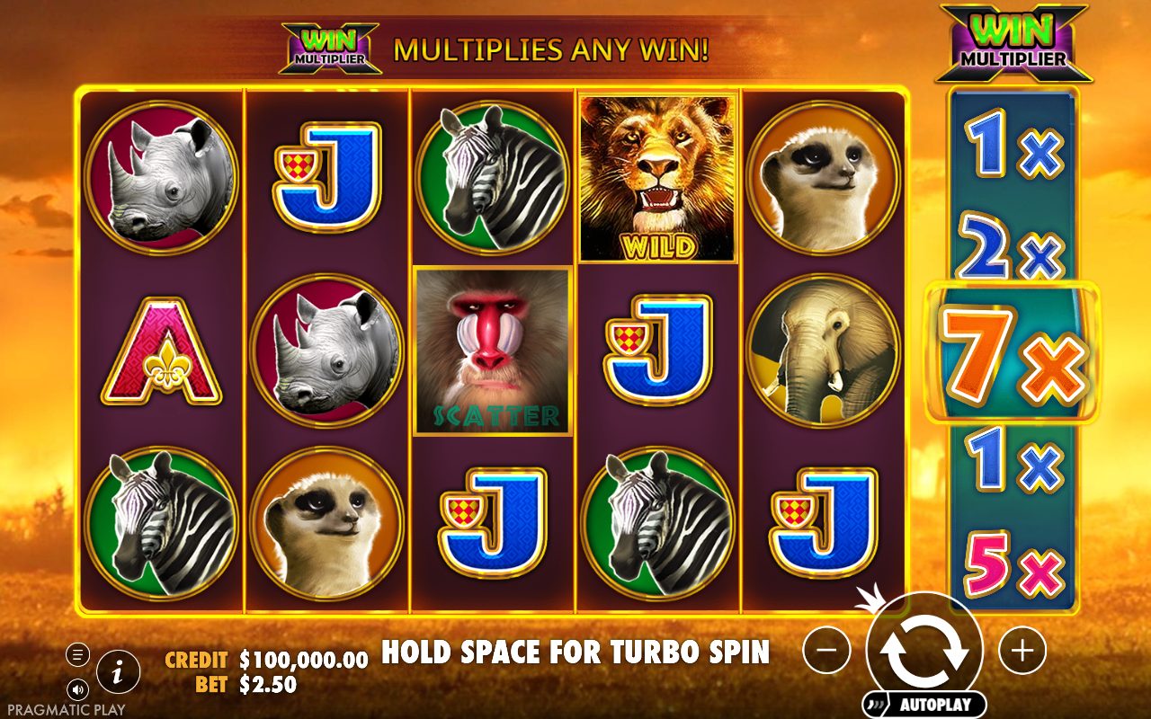 Hot Safari base game reels