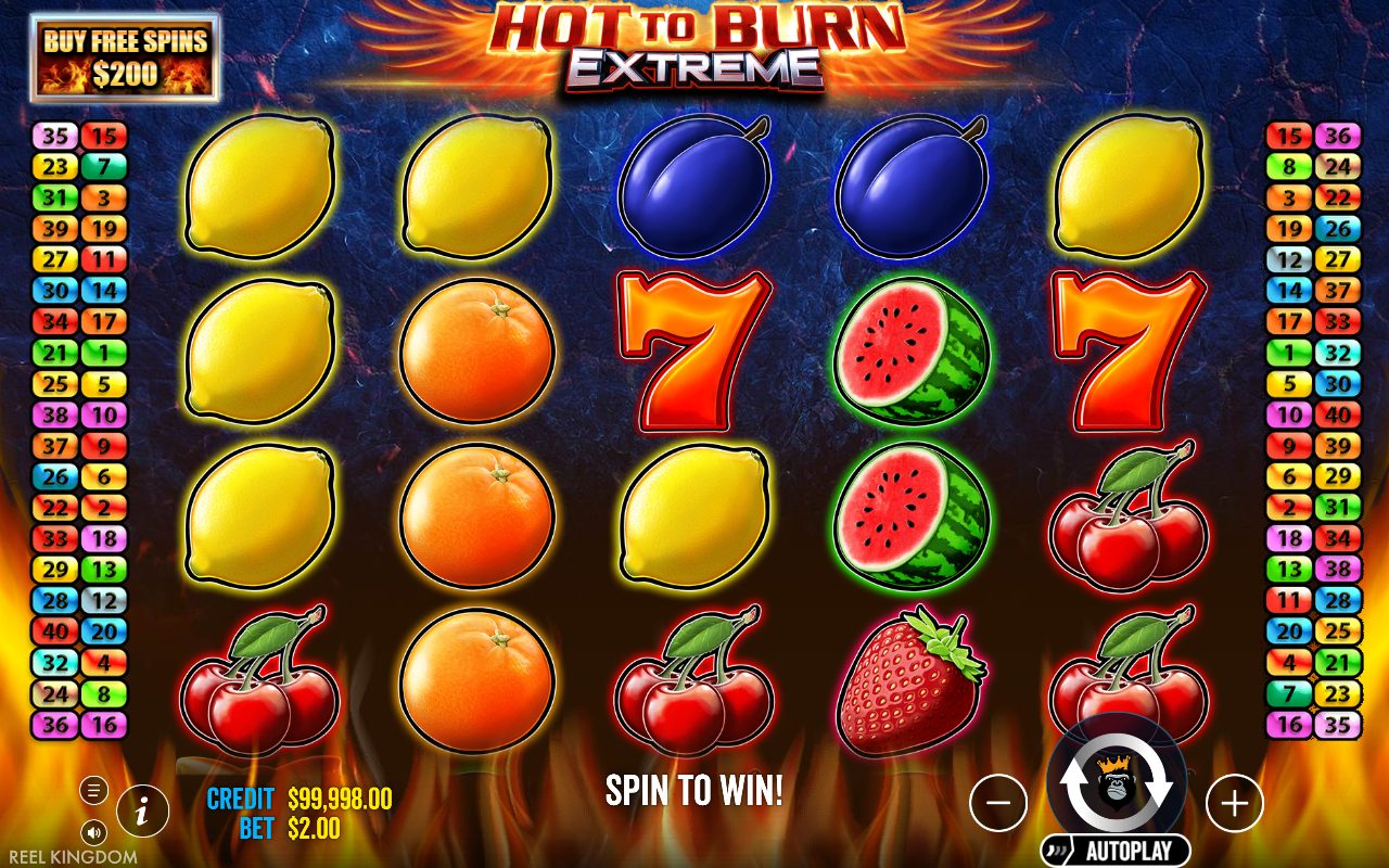 Hot to Burn Extreme base game reels