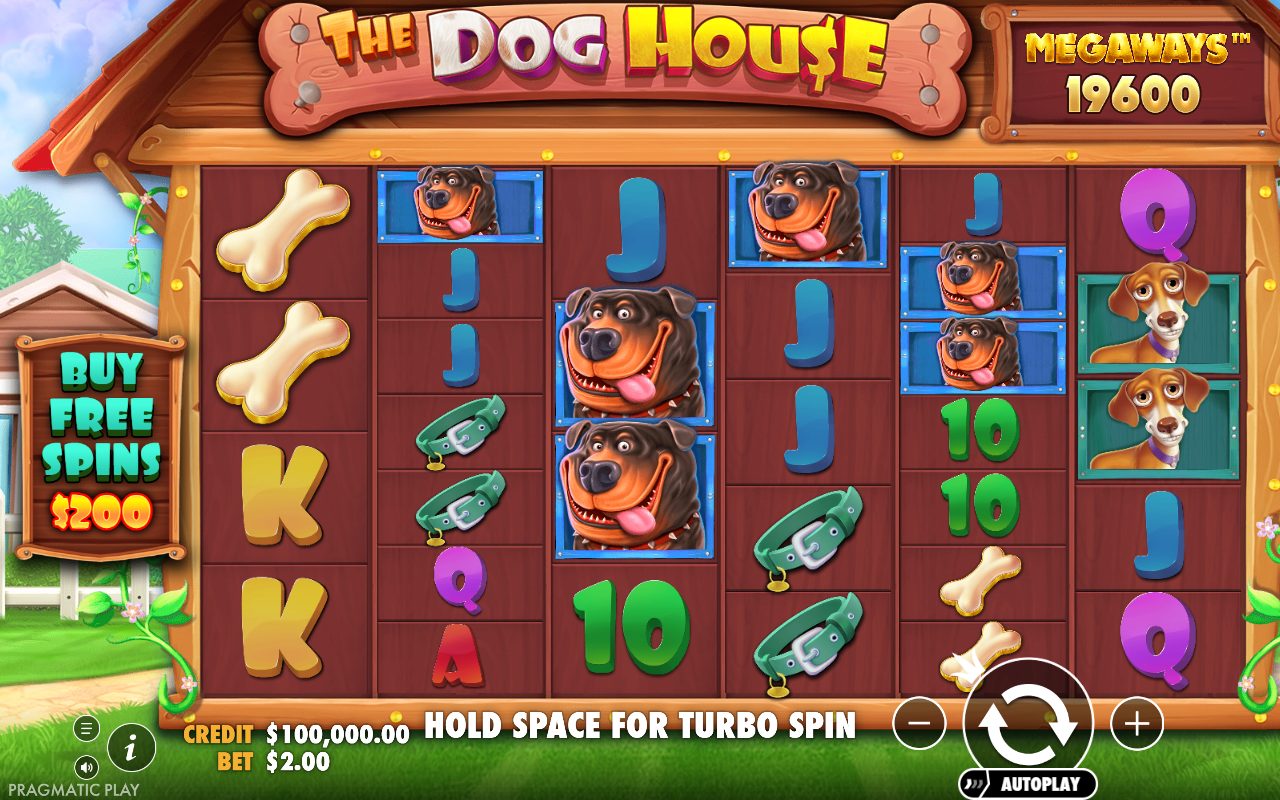 The Dog House Megaways base game reels