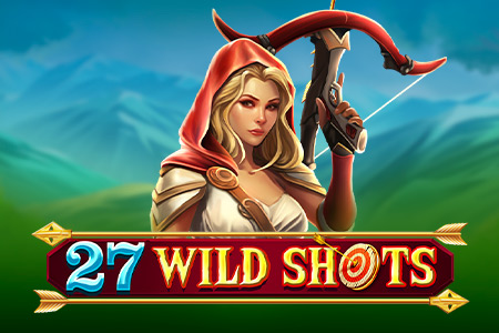27 Wild Shots artwork