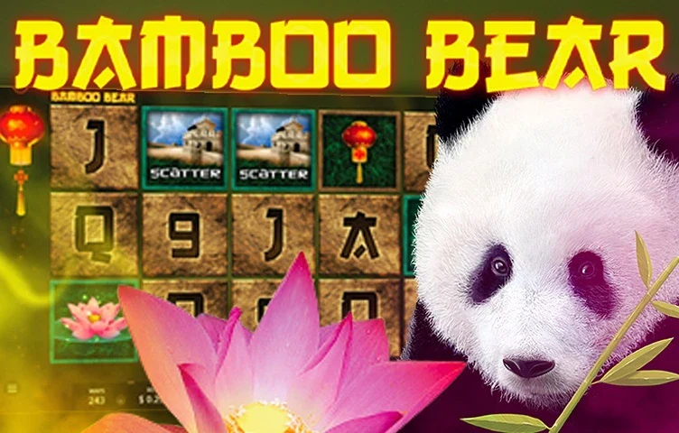 Bamboo Bear artwork