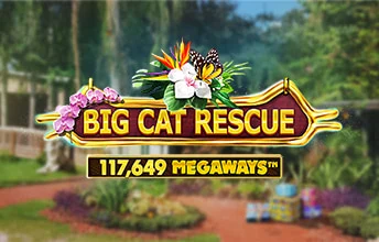 Big Cat Rescue Megaways artwork