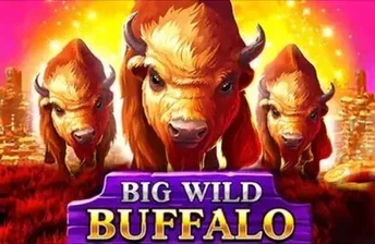 Big Wild Buffalo artwork
