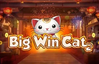 Big Win Cat artwork