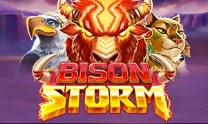 Bison Storm