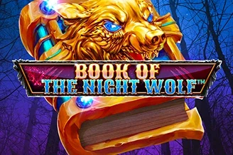 Book of the Night Wolf artwork