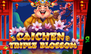 Caichen Triple Blossom