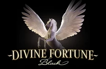 Divine Fortune Black artwork
