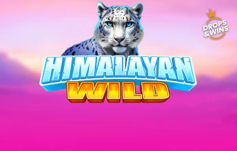 Himalayan Wild artwork