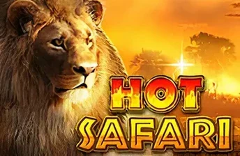 Hot Safari artwork