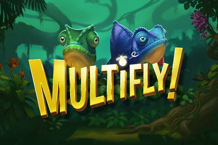 MultiFly!