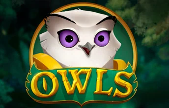 Owls artwork
