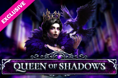 Queen of Shadows artwork