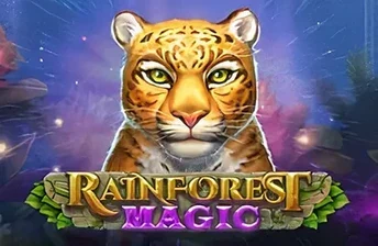 Rainforest Magic artwork