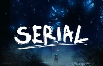 Serial artwork