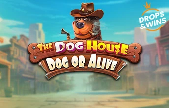 The Dog House - Dog or Alive