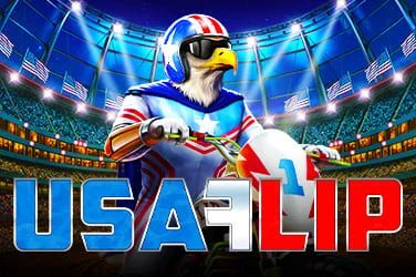 USA Flip artwork