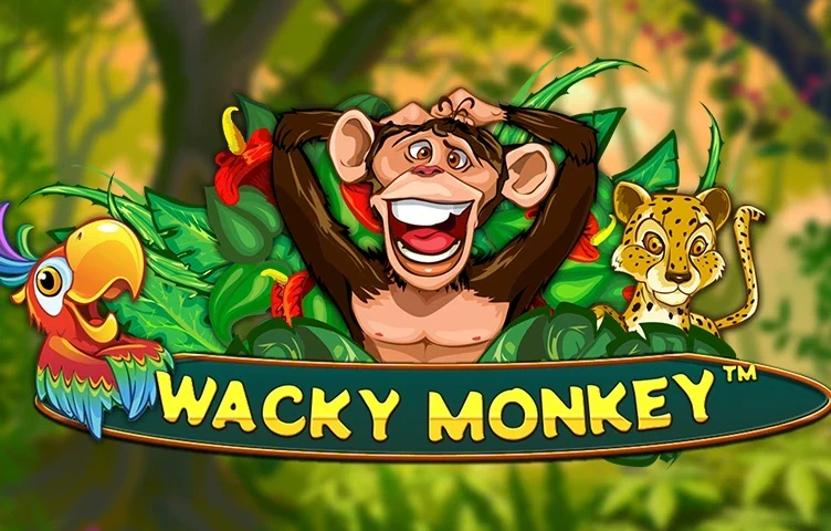 Wacky Monkey artwork