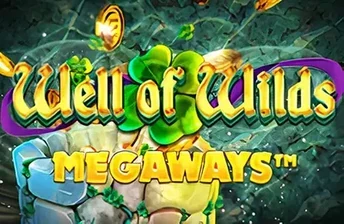Well of Wilds Megaways artwork