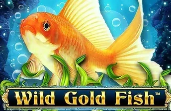 Wild Gold Fish