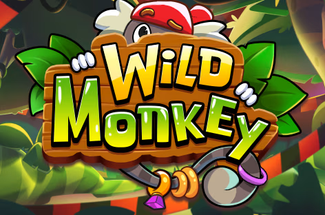 Wild Monkey