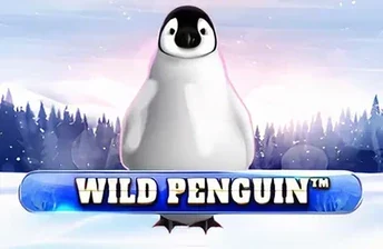 Wild Penguin artwork